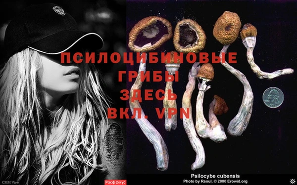 каннабис Михайловск
