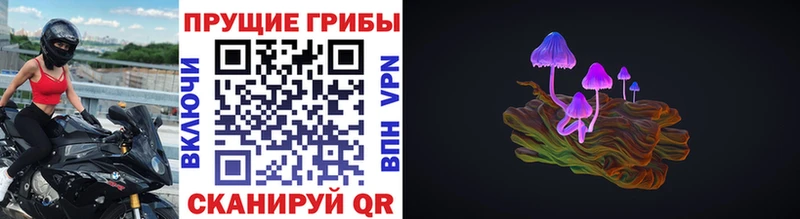 Псилоцибиновые грибы Cubensis  Старый Оскол 